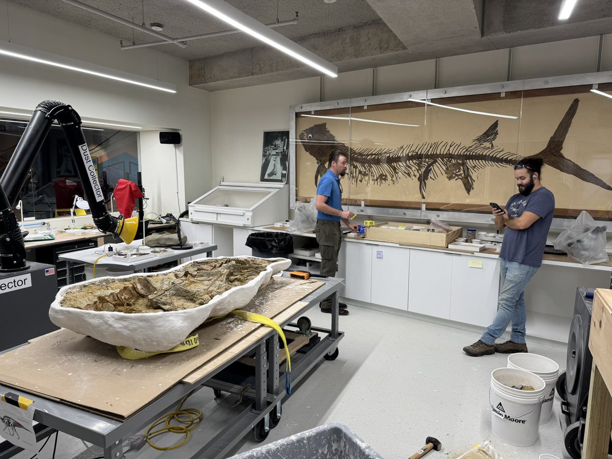 岡山理科大学 生物地球学部 恐竜学科 tweet media