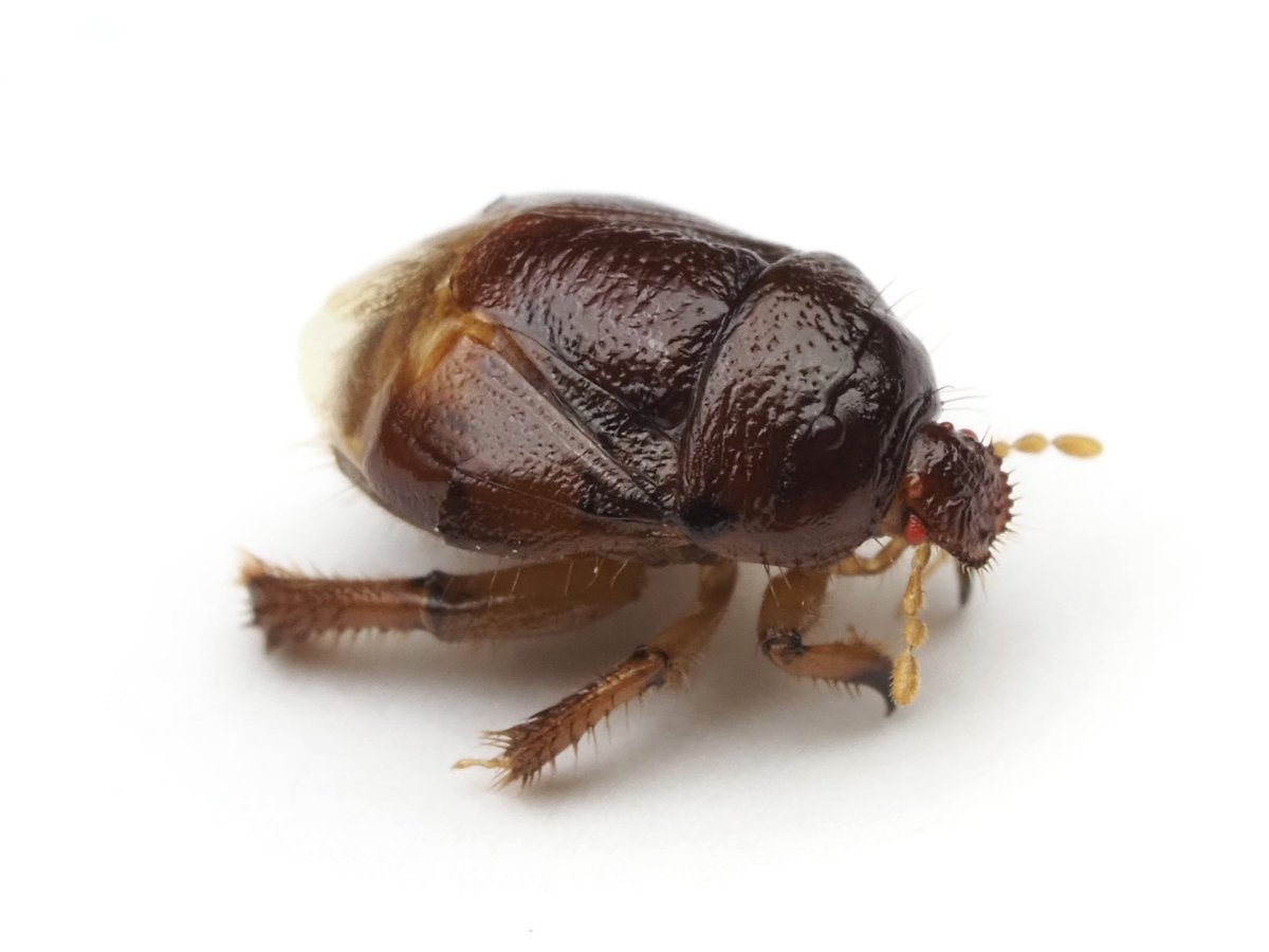 rockfish (@rockfis24599664) / Posts / X