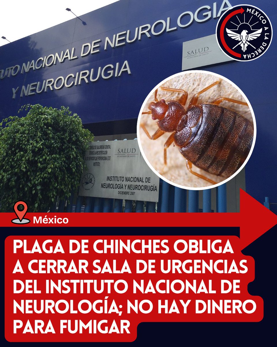 🚨🚨🚨PLAGA DE CHINCHES OBLIGA A CERRAR SALA DE URGENCIAS DEL INSTITUTO NACIONAL DE NEUROLOGÍA; NO HAY DINERO PARA FUMIGAR
👇👇👇

El Instituto Nacional de Neurología y Neurocirugía de la CDMX cerró temporalmente su sala de urgencias porque hay una plaga de chinches y ratas.