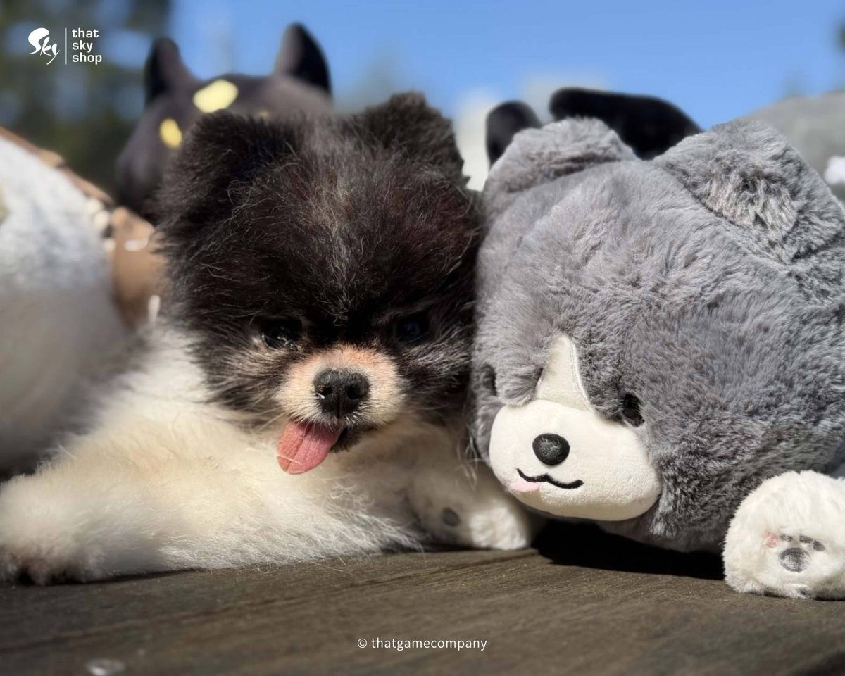 thatskyshop's tweet photo. Who is the real Little Oreo? 🐶✨

Little Oreo, the good friend of sleepy merchant, is black and white in color. He has a round head, big eyes, fluffy fur, and a super cute little tongue!

Could you please help Sleepy Merchant tell who the real Little Oreo is?✨🤔 

#thatskyshop https://t.co/soGIbHf4LH