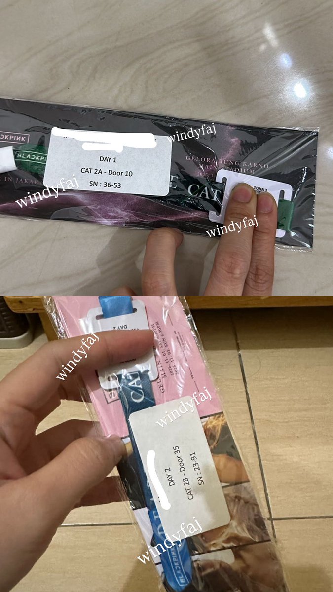 Windyfaj🌻 tweet media