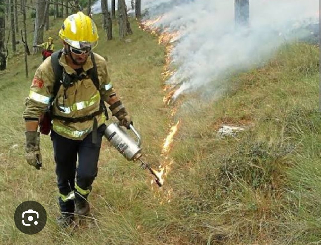 Tras dramática campaña estival d incendios forestales, el CLIF debería recuperar su protagonismo desde consenso técnico y exigir al Estado y a todas las CCAA una inversión sufiente y mantenida para priorizar y ejecutar politicas preventivas en un 1% anual del territorio forestal