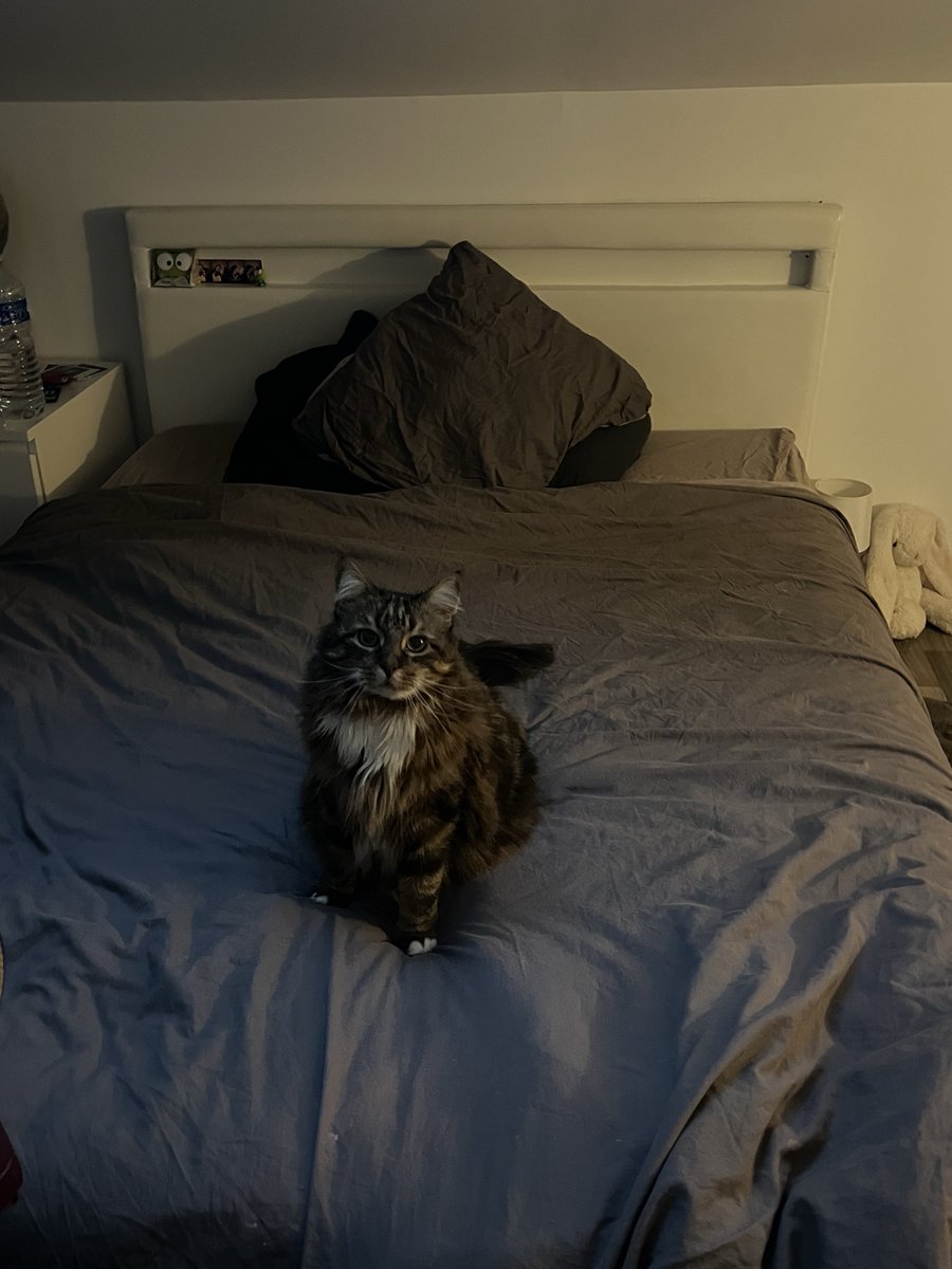 saurononam's tweet image. mon bébé le matin qui regarde sa maman se préparer