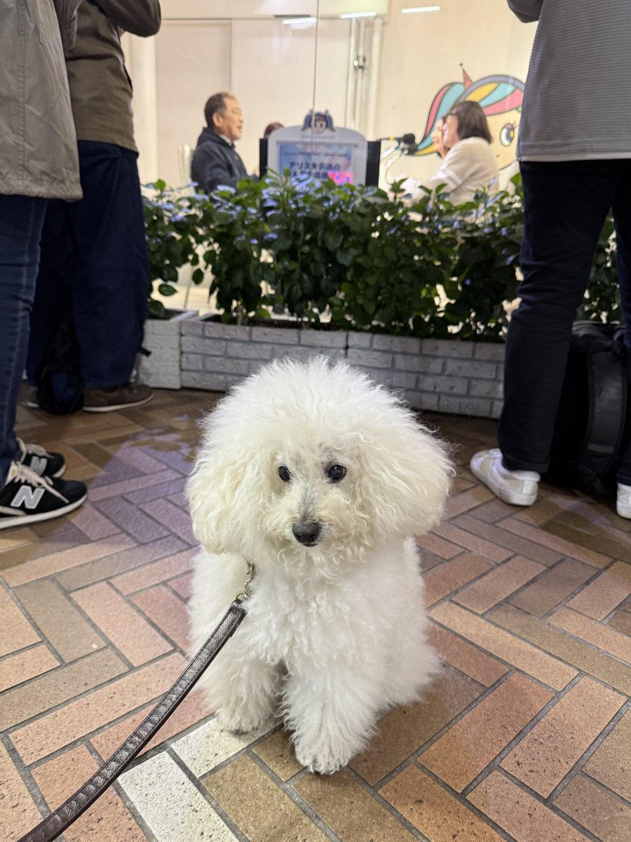 渋谷クロスFM
アリス矢沢透のなんでも応援団！
ただ今、出演中です