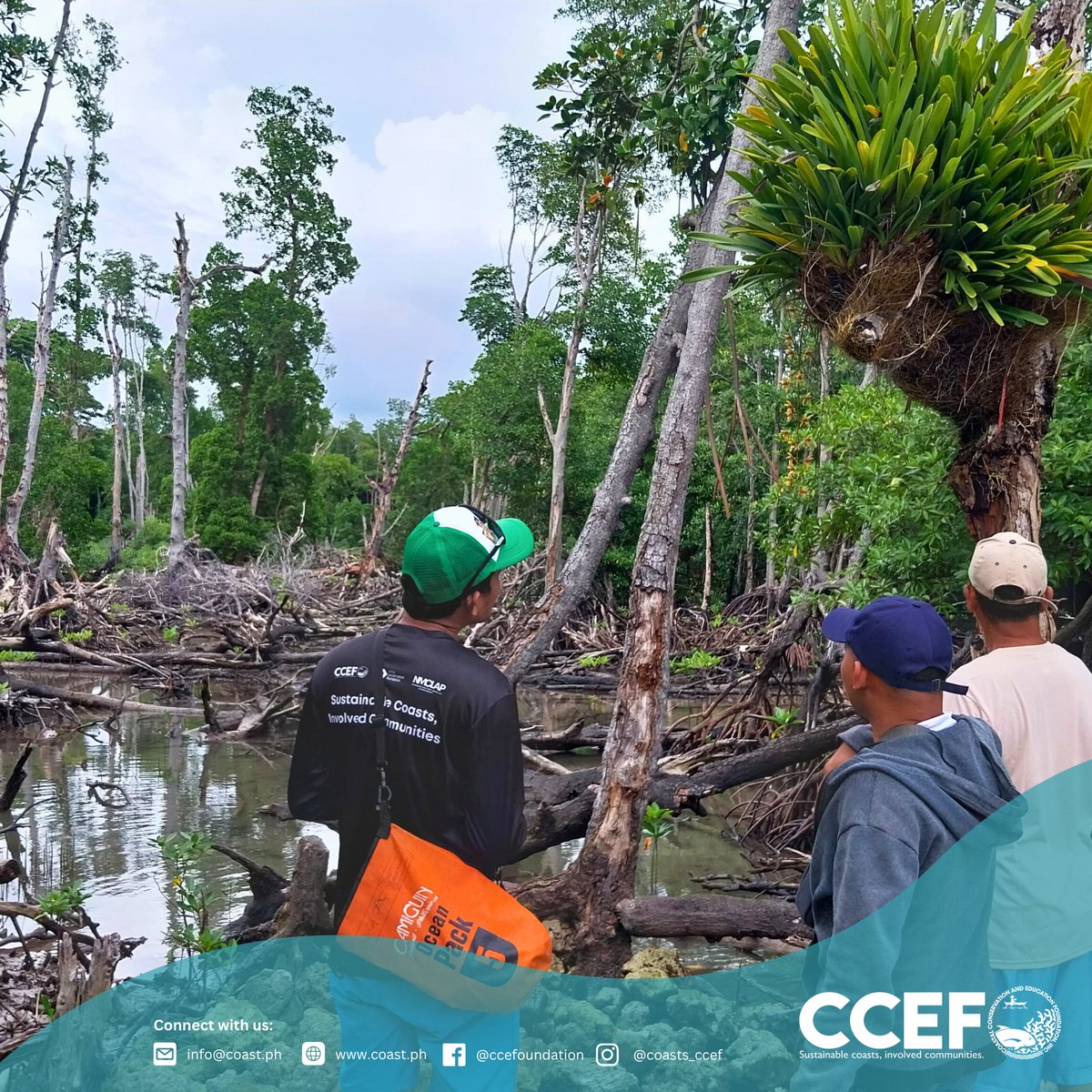 CCEF_PH's tweet image. October 21–22, 2025 | Barangays Talaga and Taloot, Argao, Cebu - 𝗖𝗖𝗘𝗙 𝗰𝗼𝗻𝗱𝘂𝗰𝘁𝗲𝗱 𝗮 𝘀𝗶𝘁𝗲 𝘃𝗮𝗹𝗶𝗱𝗮𝘁𝗶𝗼𝗻 𝗳𝗼𝗿 𝗽𝗼𝘁𝗲𝗻𝘁𝗶𝗮𝗹 𝗺𝗮𝗻𝗴𝗿𝗼𝘃𝗲 𝗻𝘂𝗿𝘀𝗲𝗿𝘆 𝗮𝗻𝗱 𝗿𝗲𝗵𝗮𝗯𝗶𝗹𝗶𝘁𝗮𝘁𝗶𝗼𝗻 𝗮𝗿𝗲𝗮𝘀.

𝘙𝘦𝘢𝘥 𝘮𝘰𝘳𝘦: coast.ph/ccef-news/10/c…