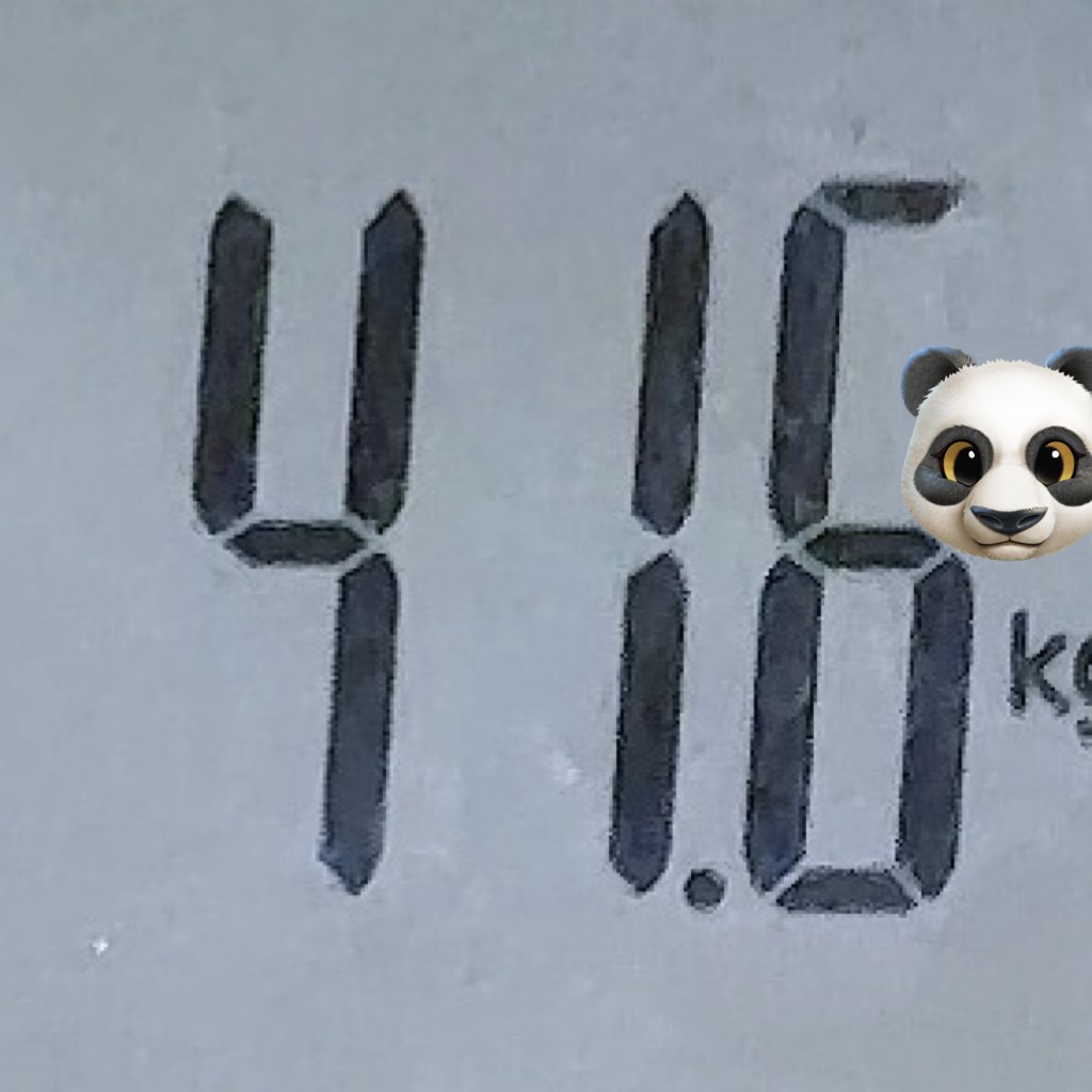 おがわこなた on X