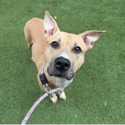 Gina • TBK 💉Today • NYCACC