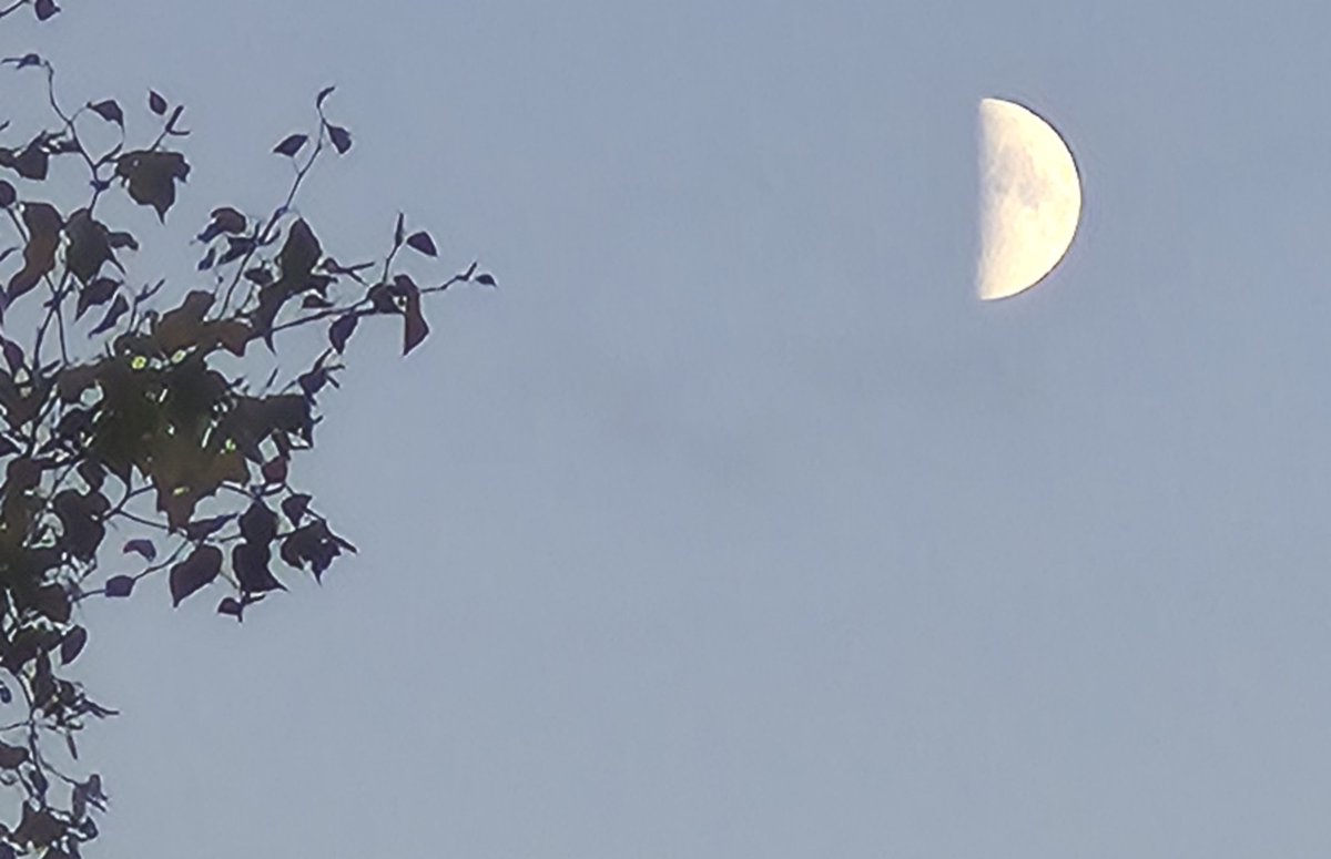 eva_joy1's tweet image. Moon moments. 🌙