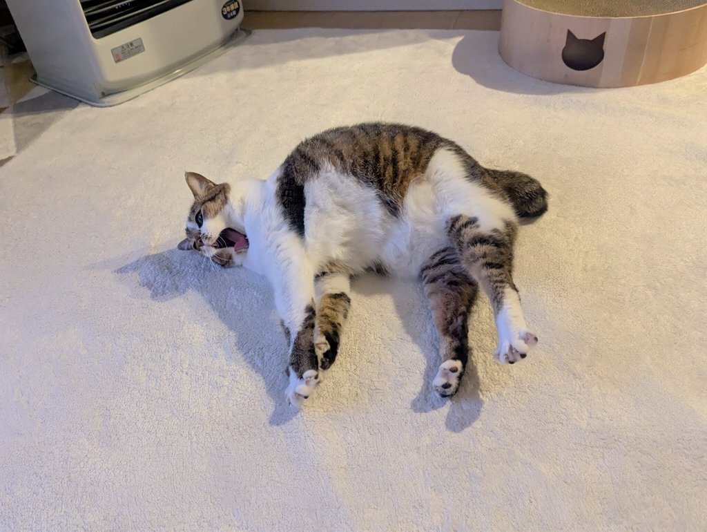 みみちゃんページ みみみちゃん (@mimimi______64) / Posts / X