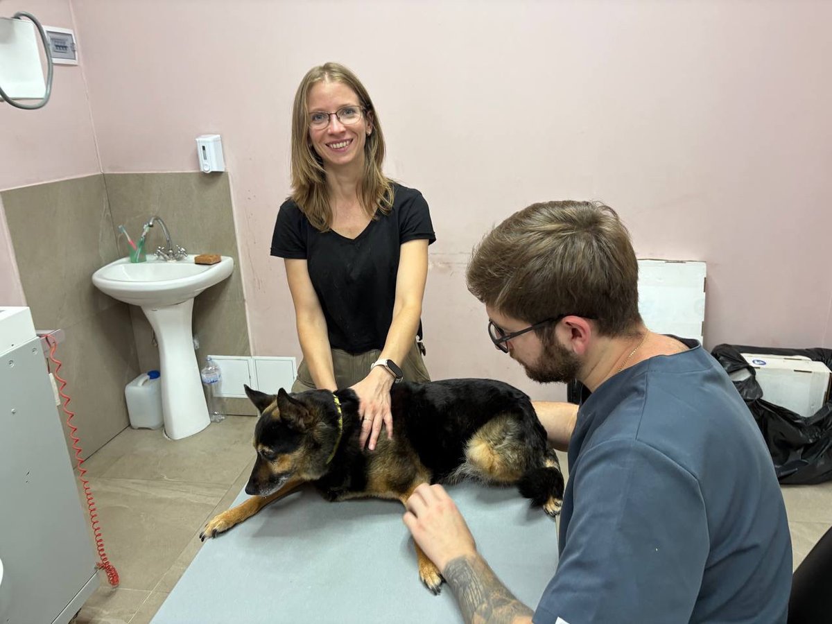 🐾 Animal Rescue Fundraiser | Donbas

This is Ksenia (my Lil Sis) an animal volunteer who rescues and cares for animals from the front line in Donetsk region.
While I’ve chosen to focus my efforts on assisting the military, I know many of my followers also care about the animals