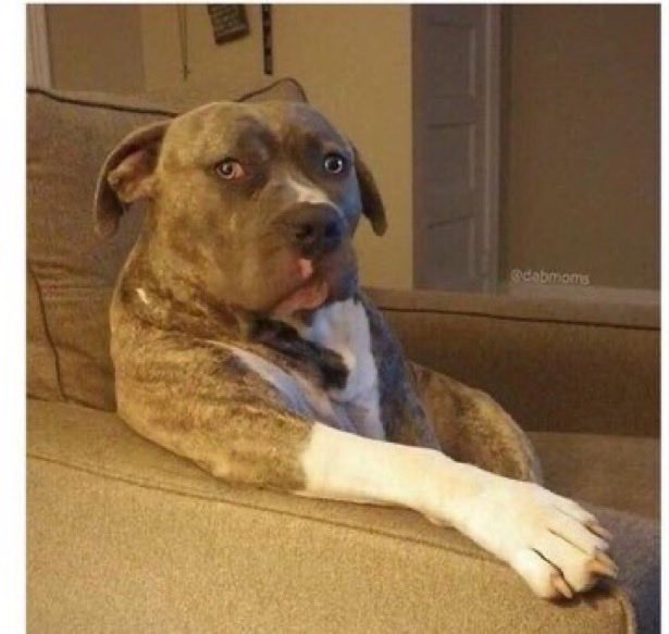 Mum: hii ni boxer ya nani kwa room ya maid
Dad: