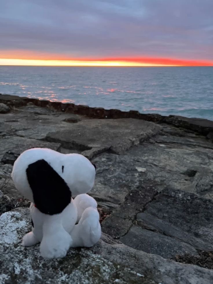 ★ (@snoopyzito) on Twitter photo 