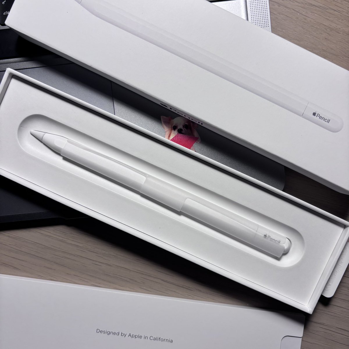 baekin__'s tweet photo. 💌 ส่งต่อ #applepencil usb c
🍏 1400 รวมส่ง
🥨 ใช้งานน้อย ไม่มีตำหนิ เหมือนใหม่มีกล่อง
🐨 สนใจทัก dm ค่ะ
#applepencilมือสอง #ส่งต่อapplepencil #ปากกาไอแพด #ส่งต่อปากกาไอแพด #ปากกาไอแพดมือสอง #ส่งต่อไอแพด #ตลาดนัดsanrio #ตลาดนัดเด็กหลง #dek69 https://t.co/EPCnKChLgF
