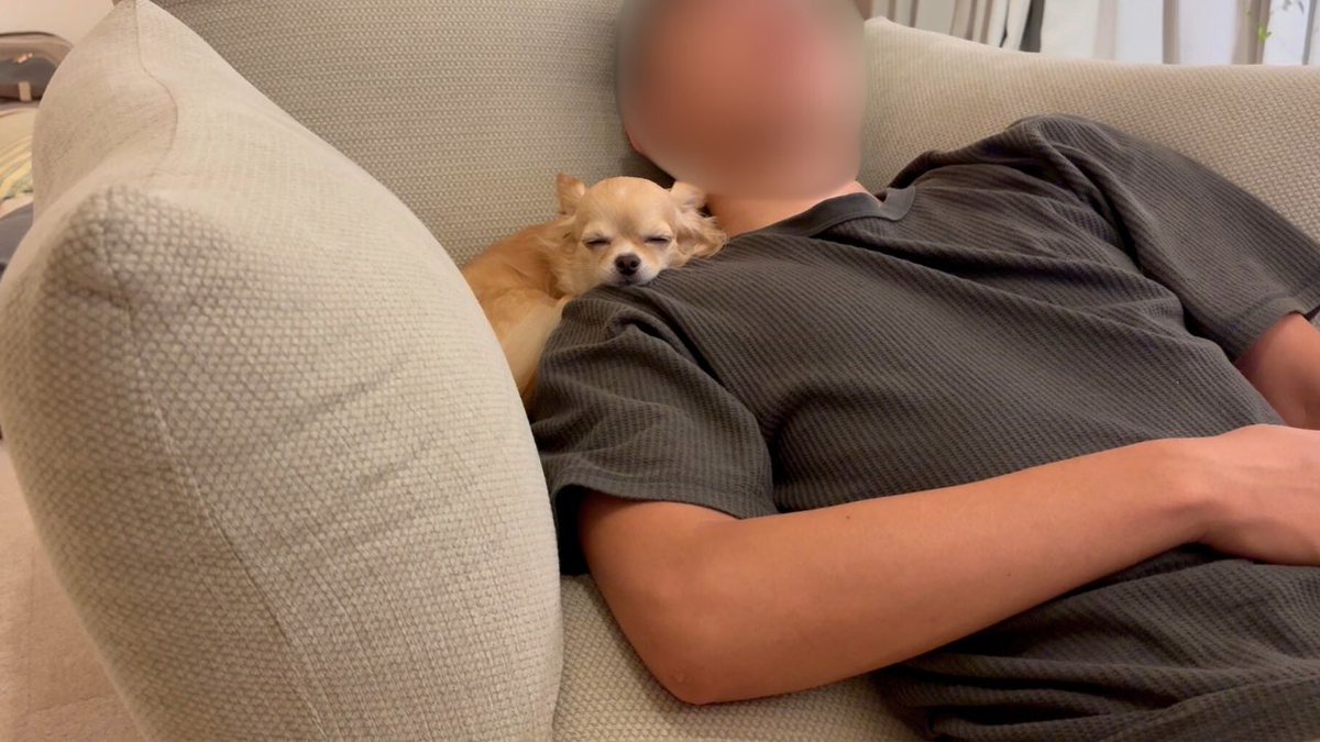 パパ大好きアカウント (@papa_love_dog) on Twitter photo 