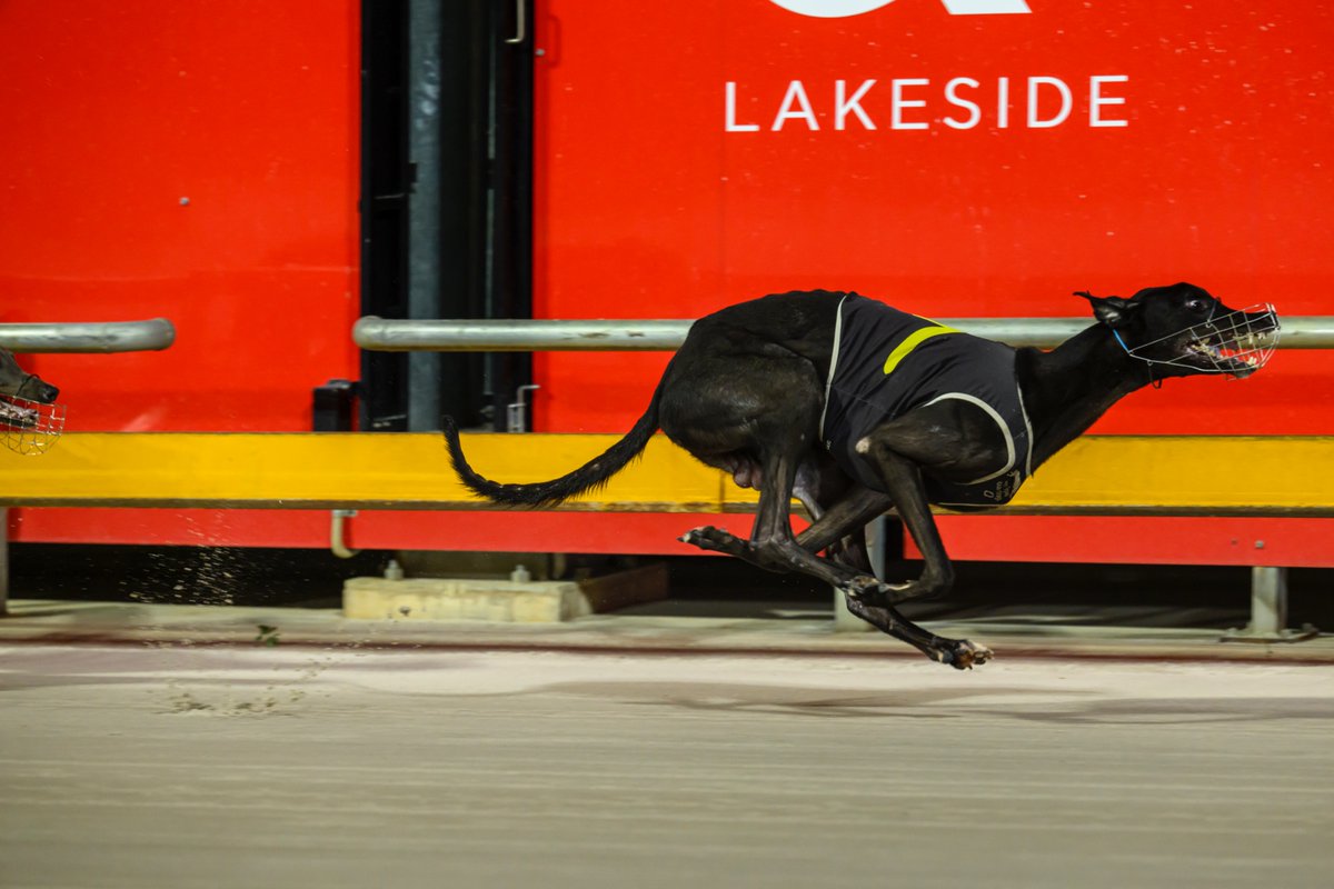 Famous hat-tricks:
1. Shane Warne at the MCG in 1994.
2. Jeff Crawford winning the first three heats of the Lakeside Cup.

This time it was Validate who joins kennelmates Star Turn and Blue Blend in next week's $150,000 final!

<a href="/RaceQLD/">RaceQ</a>