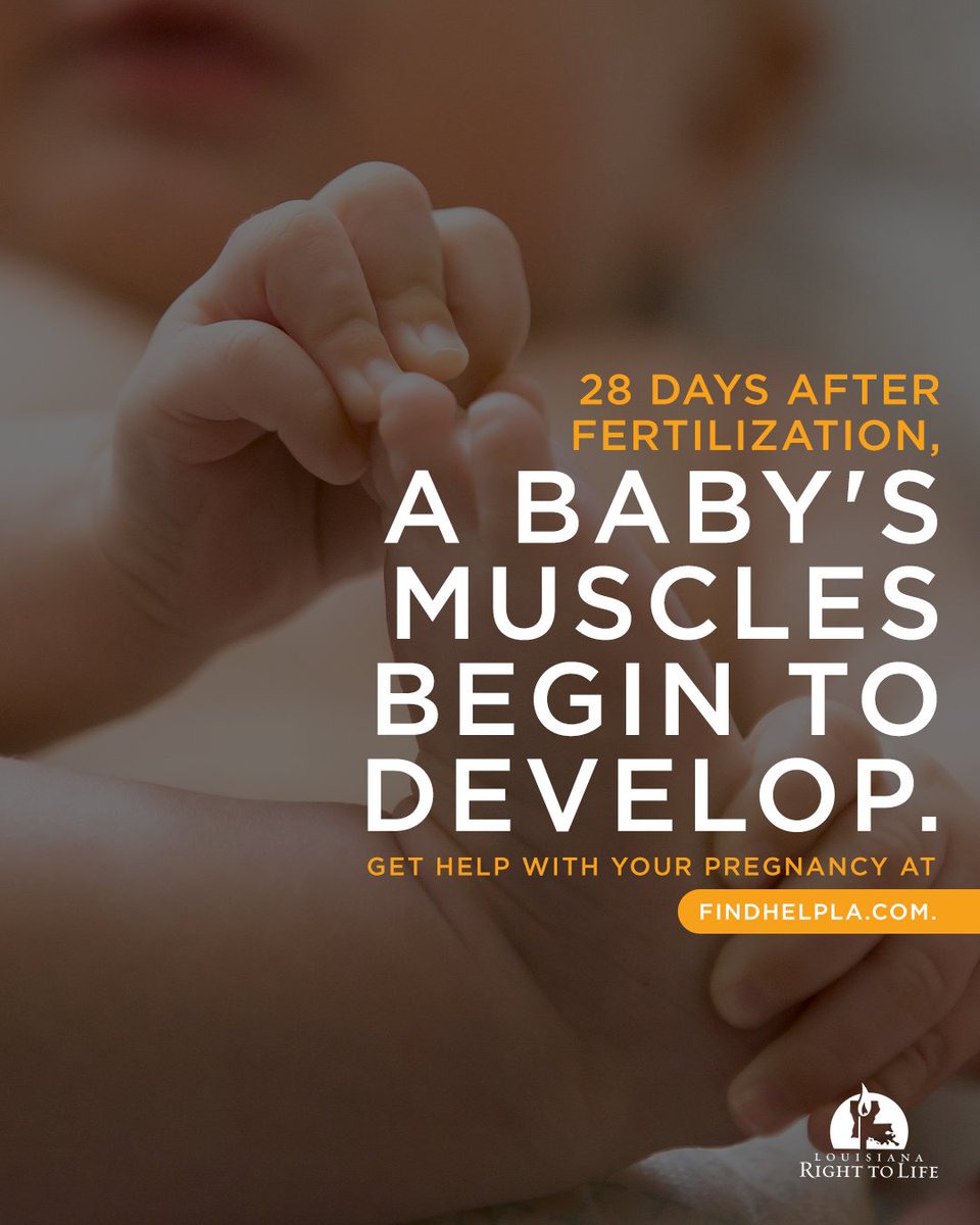 Just 28 days from fertilization, your baby's muscles are developing along the future spine.

Development continues for each of us well into adulthood. Give your baby a chance at life!

Find the help you need for your pregnancy at FindHelpLA.com.