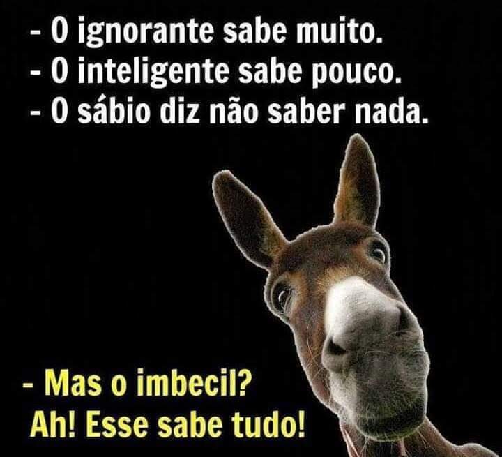 Bom dia à todos vocês amigos!!!