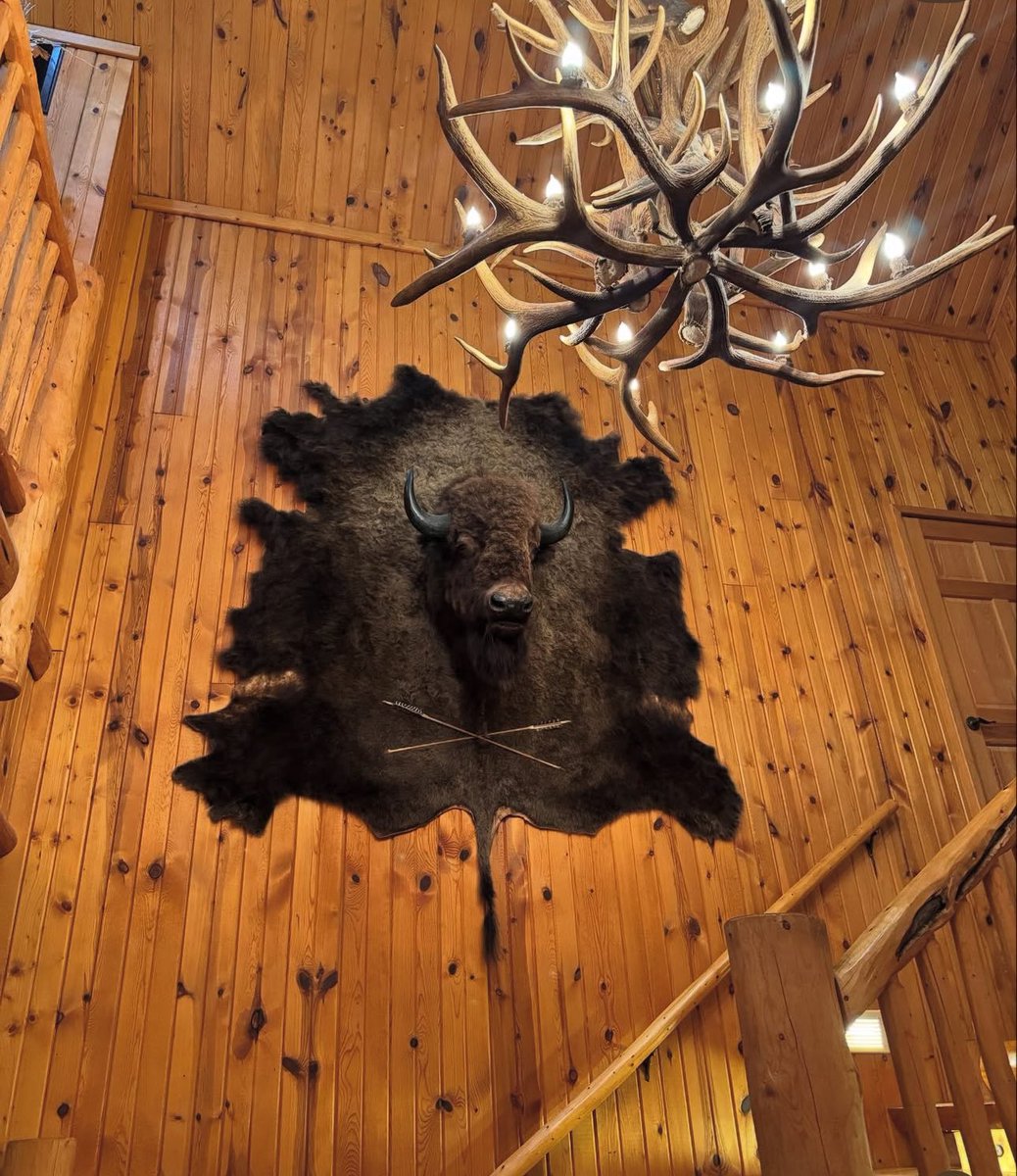 rice_chase_ACM's tweet image. Jack and Jack’s Dad on this one❤️🦆