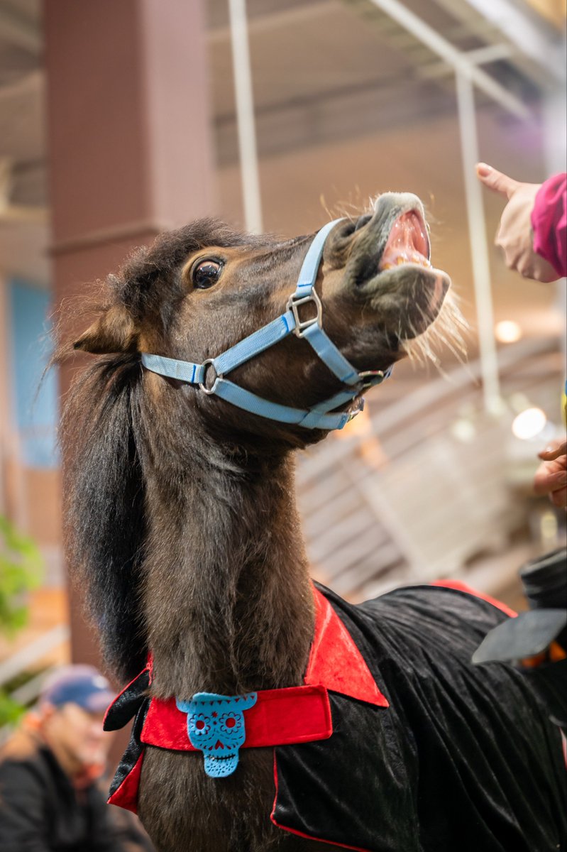  まりっぺ様 まりっぺ@うま on X