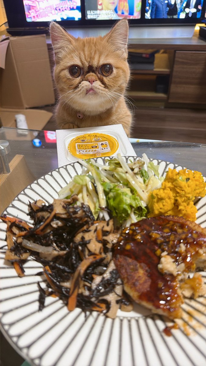 うちの妖精です