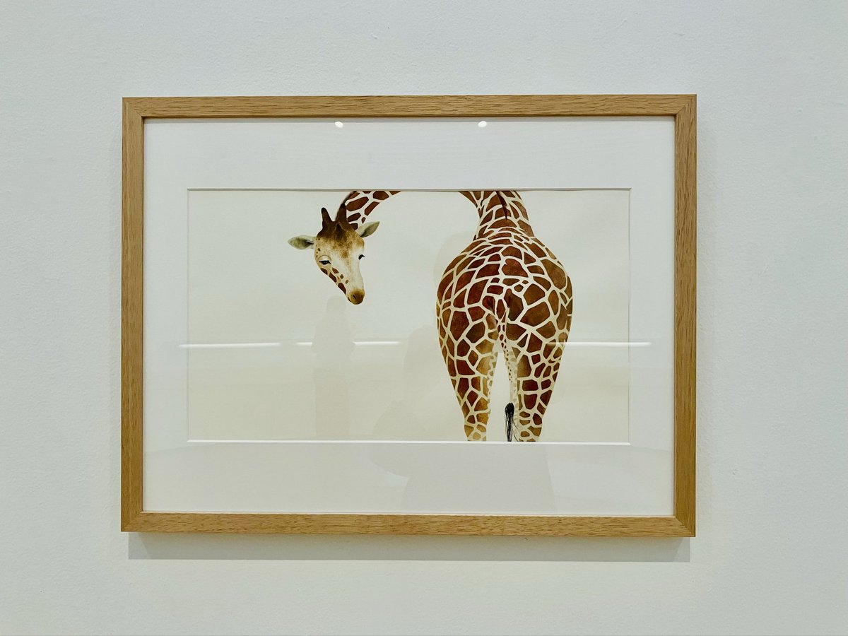 Lazward_labo's tweet photo. 虹玉をネックレスに
うす暗い部屋でも虹が見える…🌈

秋なので美術館へ
絵本原画を観に

建物もアート…
窓の中の海と空まで絵画のよう

キリンの絵
とても好き

#アイリスクォーツ #鉱物 #クリスタル #マクラメ編み #アクセサリー #ハンドメイド #Lazward https://t.co/lCVuKLxWdS