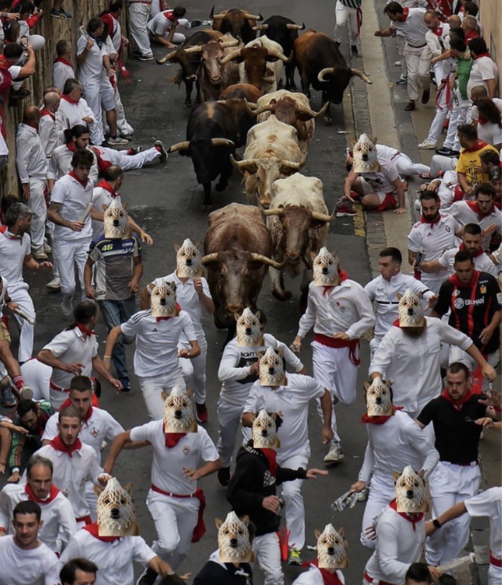 $wDOG runs with bulls