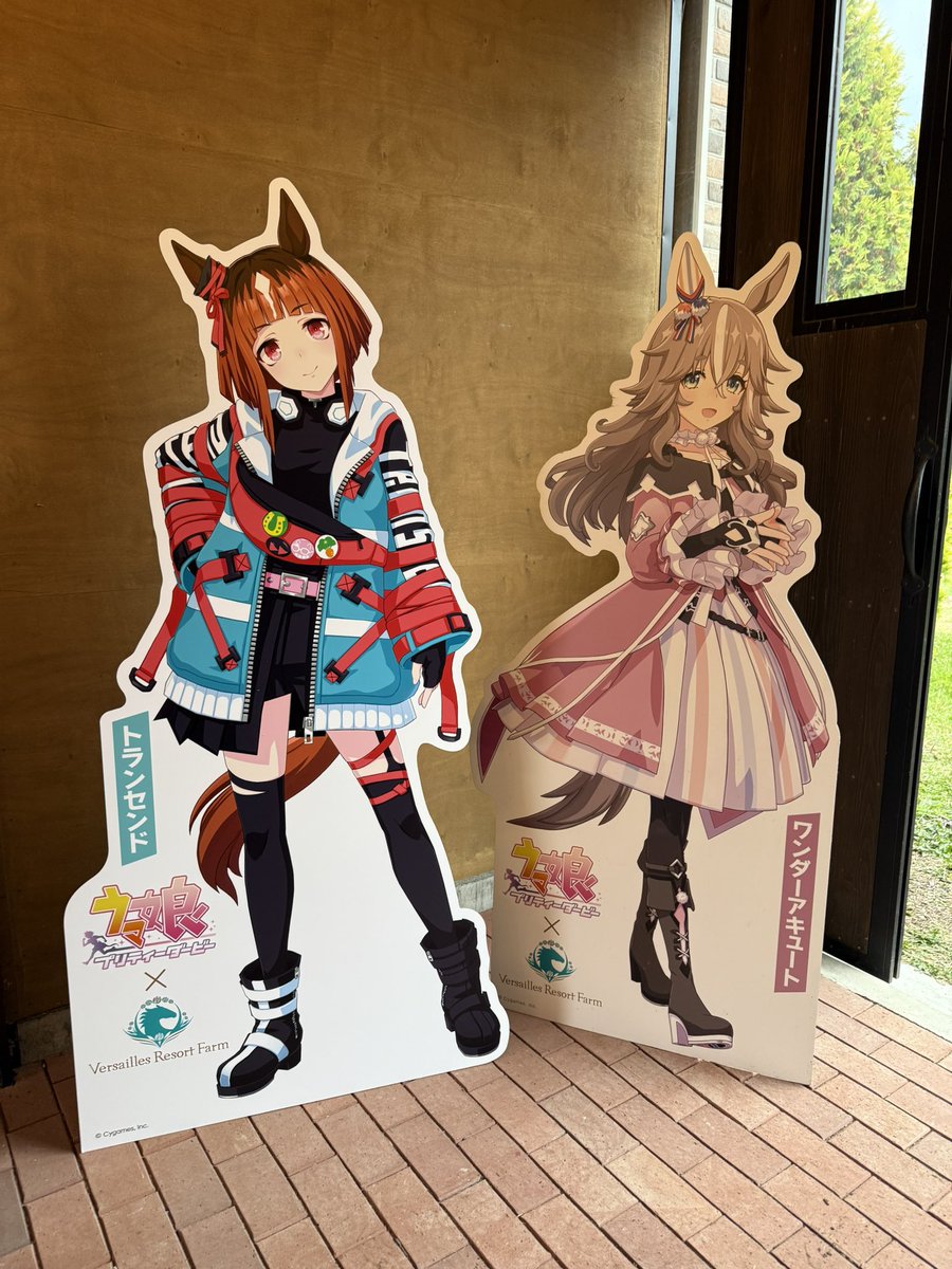 🐴 Crowdfunding in progress 🐴
To build a place where retired racehorses can live safely and peacefully.

💰 ¥19,242,000 raised / ¥50,000,000 goal (38%)
Thank you so much for your incredible support!

Here, horses don’t “retire.”
They begin a new chapter — a new story.

🌟 Would