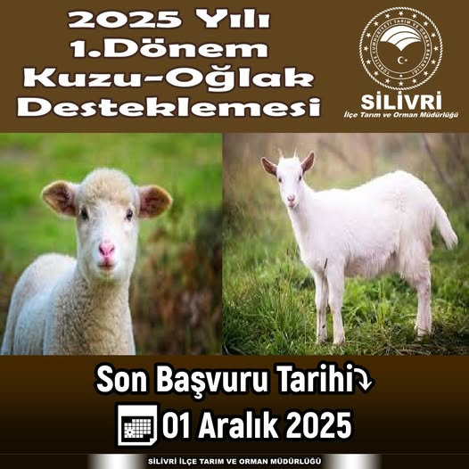 ‼ 🐑 2025 YILI 1.DÖNEM #KUZU / #OĞLAK DESTEKLEMESİ‼ 🐑‼

📎facebook.com/silivri.tarim/…

<a href="/SilivriTarim/">Silivri İlçe Tarım ve Orman Müdürlüğü</a> 
<a href="/isttarimorman/">İstanbul İl Tarım ve Orman Müdürlüğü</a> 
<a href="/TCTarim/">T.C. Tarım ve Orman Bakanlığı</a> 
<a href="/TR_HAYGEM/">Hayvancılık Genel Müdürlüğü</a>