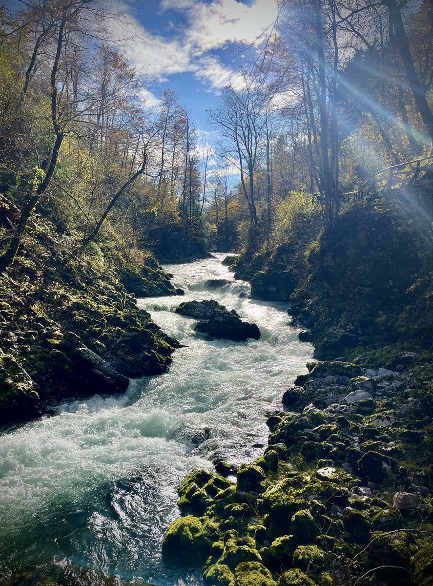 James Chapple 👀 tweet media