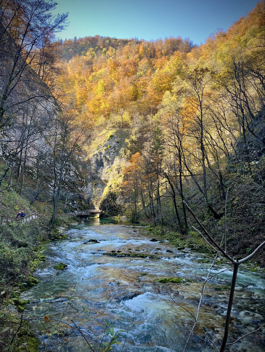 James Chapple 👀 tweet media