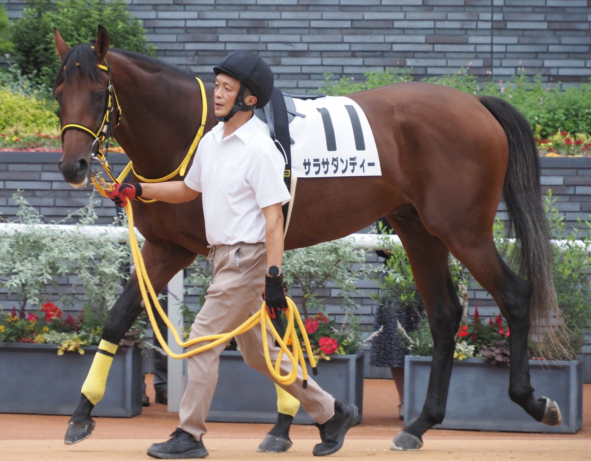 新品］馬と踊ろう Dancing with Horses クラウス・フェルディナンド