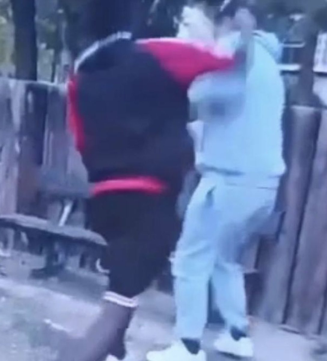 Un senegalés le da una brutal paliza a un chico de 24 años con una discapacidad del 70% a las 5 de la tarde en el barrio de Las Fuentes de Zaragoza.
El chico gritaba, Basta, Basta. Basta.
Y el Senegalés seguía pegándole. Después lo colgó en RRSS.
…Somos el estercolero de África!