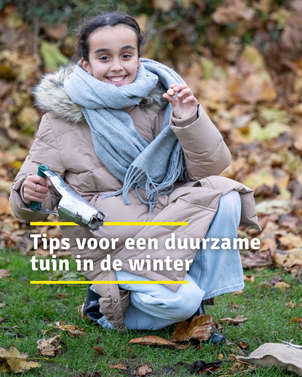 🍁 Het is tijd om je tuin #winterklaar te maken! 🐞 Laat wat blad liggen, snoei minder en maak een rommelhoekje voor egels en insecten. 🌷 Plant nu #bloembollen voor een kleurrijk voorjaar én blije bijen en vlinders.

👉 Lees meer duurzame tips op: duurzaamdenhaag.nl/nieuws-tips/wi…