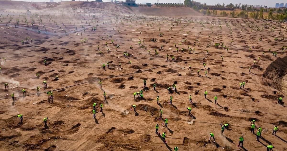 PeregrafNews's tweet image. KRG PM @masrourbarzani plants the first tree of the #Erbil Green Belt — a project to plant 7 million #olive &amp;amp; #pistachio trees around the city, creating cleaner air, jobs &amp;amp; a greener future. #Kurdistan

More: peregraf.com/en/news/10076