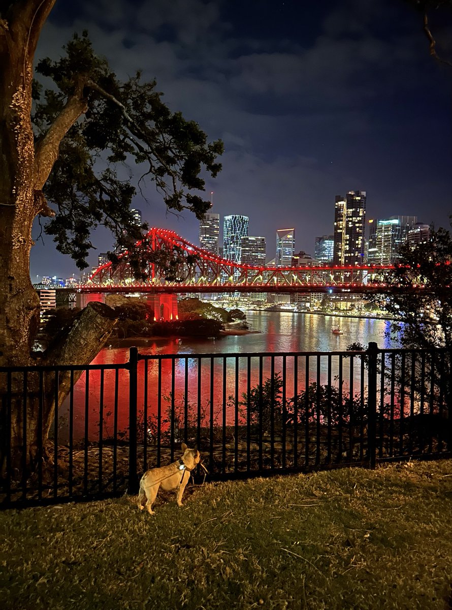 WolframJoy's tweet image. Nature and city in perfect balance #Brisbane #Australia