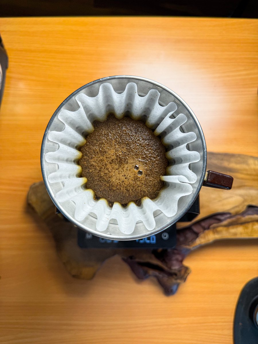 لا يمكن ان يُرا الجمال بمزاج سيء
قهوة الخميس