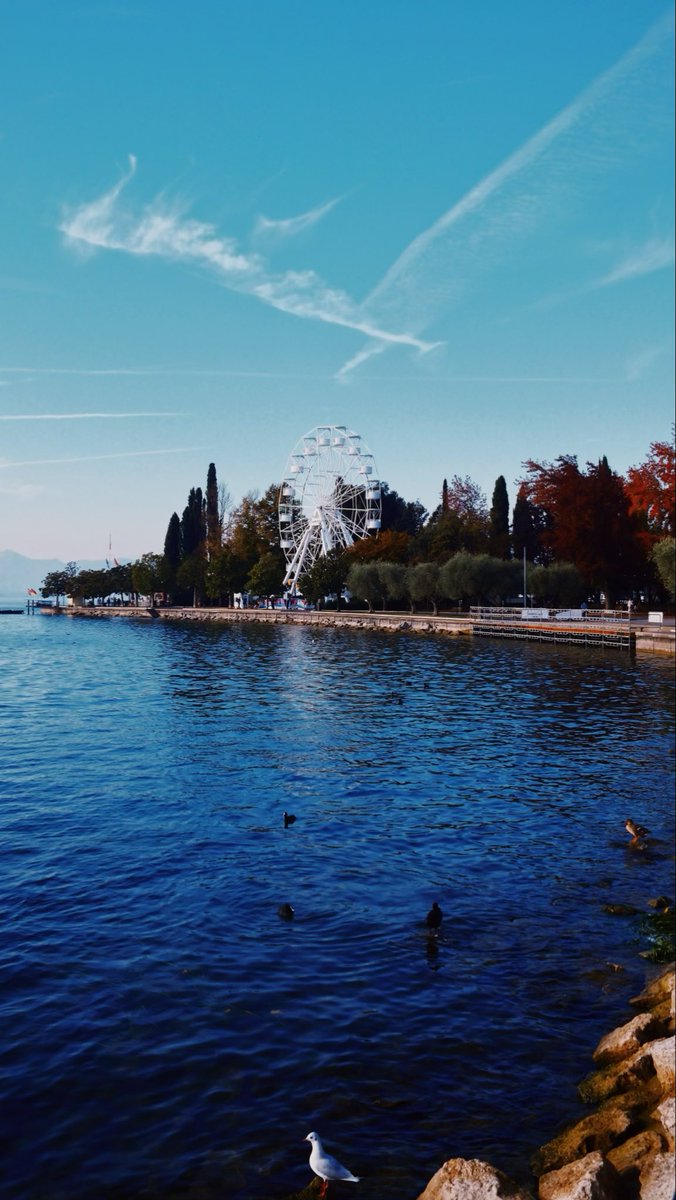 سعد طحيطح tweet media