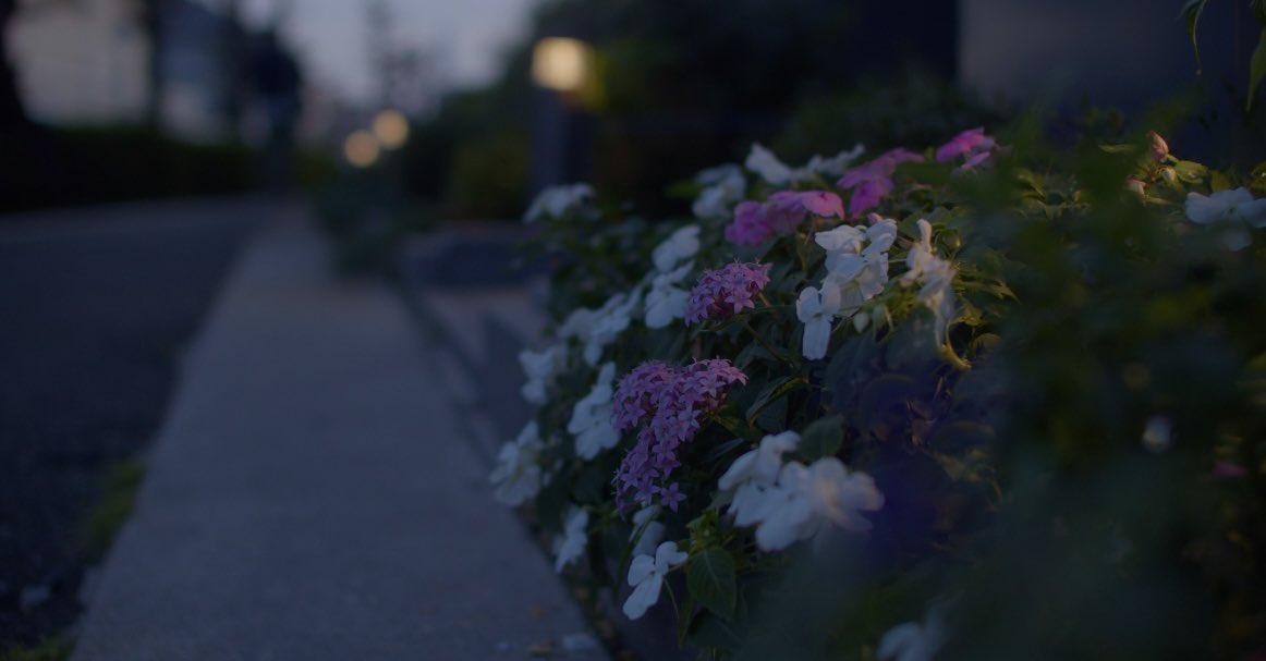 Masayuki Inagawa on X