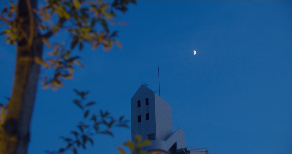 【Miyagawa Masayuki】 Satoshi Nakagawa x Naohito Myojin Aoichi Damascus Sakimaru