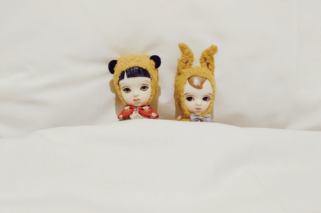 尾道のホテルに着きました。
一日中連れ回したせいか、#ルチア も  #ちびムイ も  #こぐま散歩 も疲れたようです。
ゆっくりと休んで貰いましょう。
明後日はまた長旅ですから。