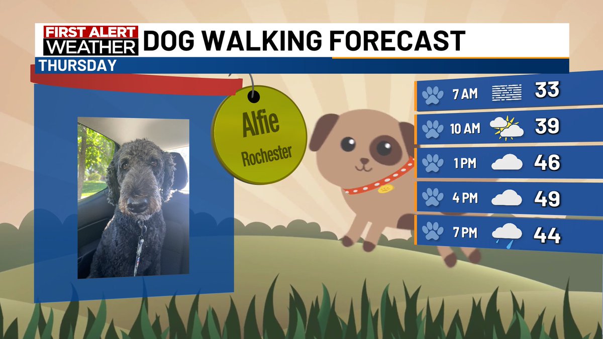 It's a seasonably cool day to take your dog for a walk. Expect areas of morning fog with mostly cloudy skies through most of the day. High temperatures will be around 50 degrees, with light winds. A few spotty showers are possible this evening. #DogWalkingForecast #kttcwx #rochmn
