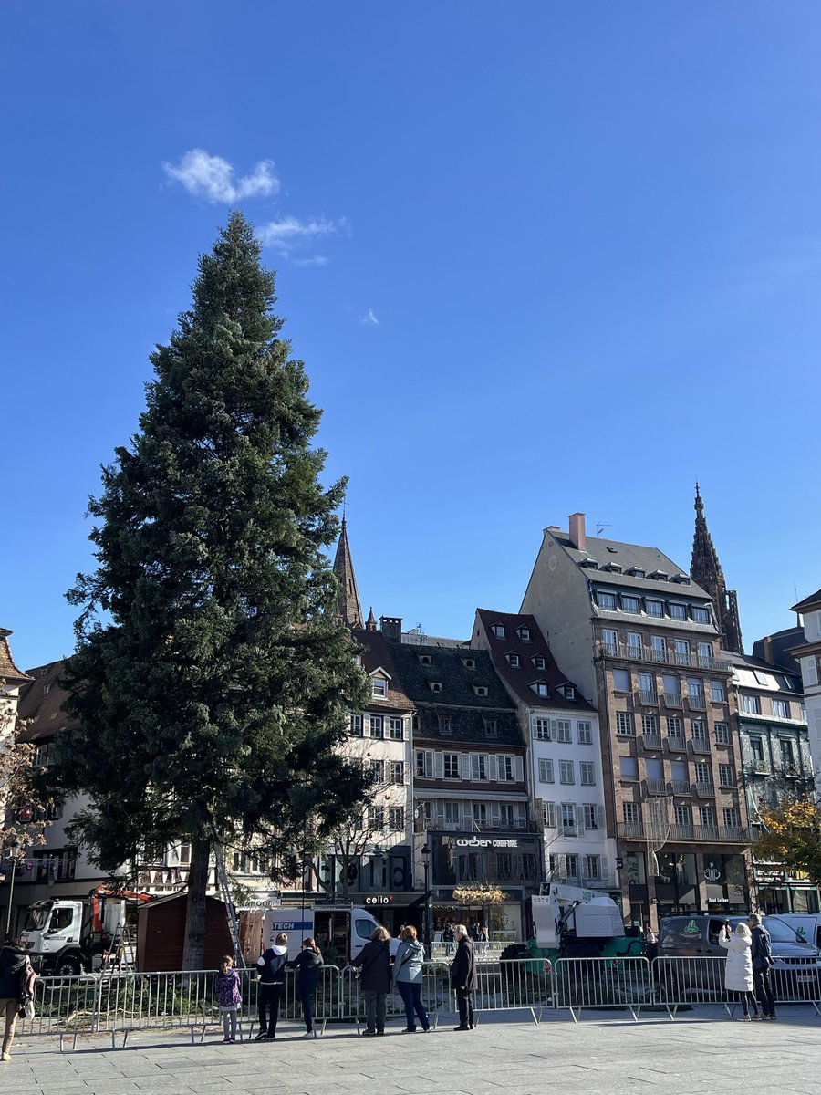 Bientôt les décorations 🤩 🎄 #StrasbourgCapitaledeNoel <a href="/strasbourg/">Strasbourg.eu</a> #noel #festivites #illuminations