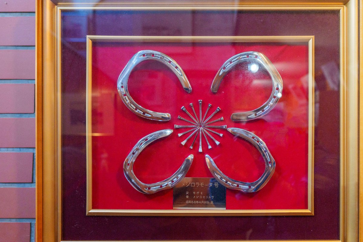 🎈🐴🇺🇿🇹🇲✈️ on X