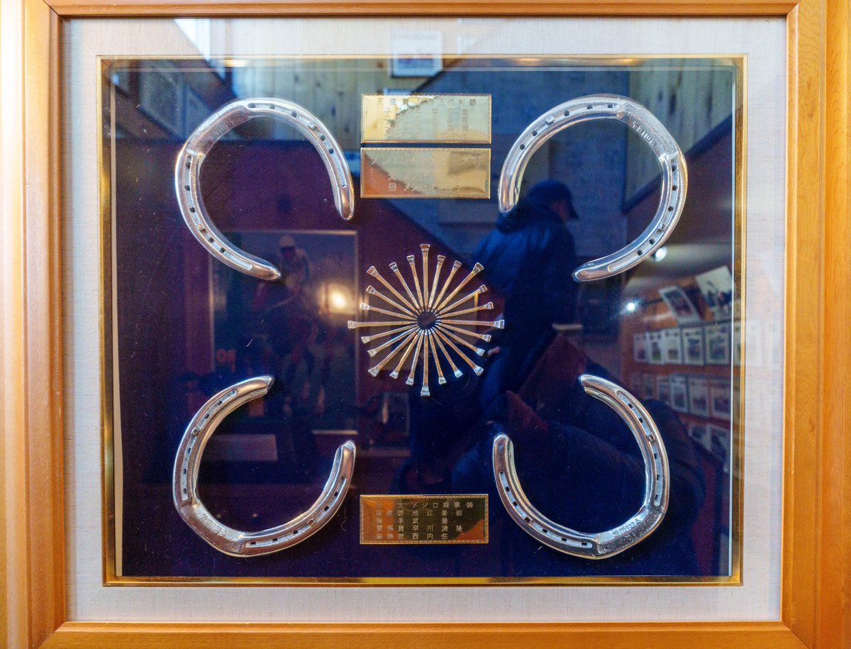 🎈🐴→🇺🇿🇹🇲✈️ on X