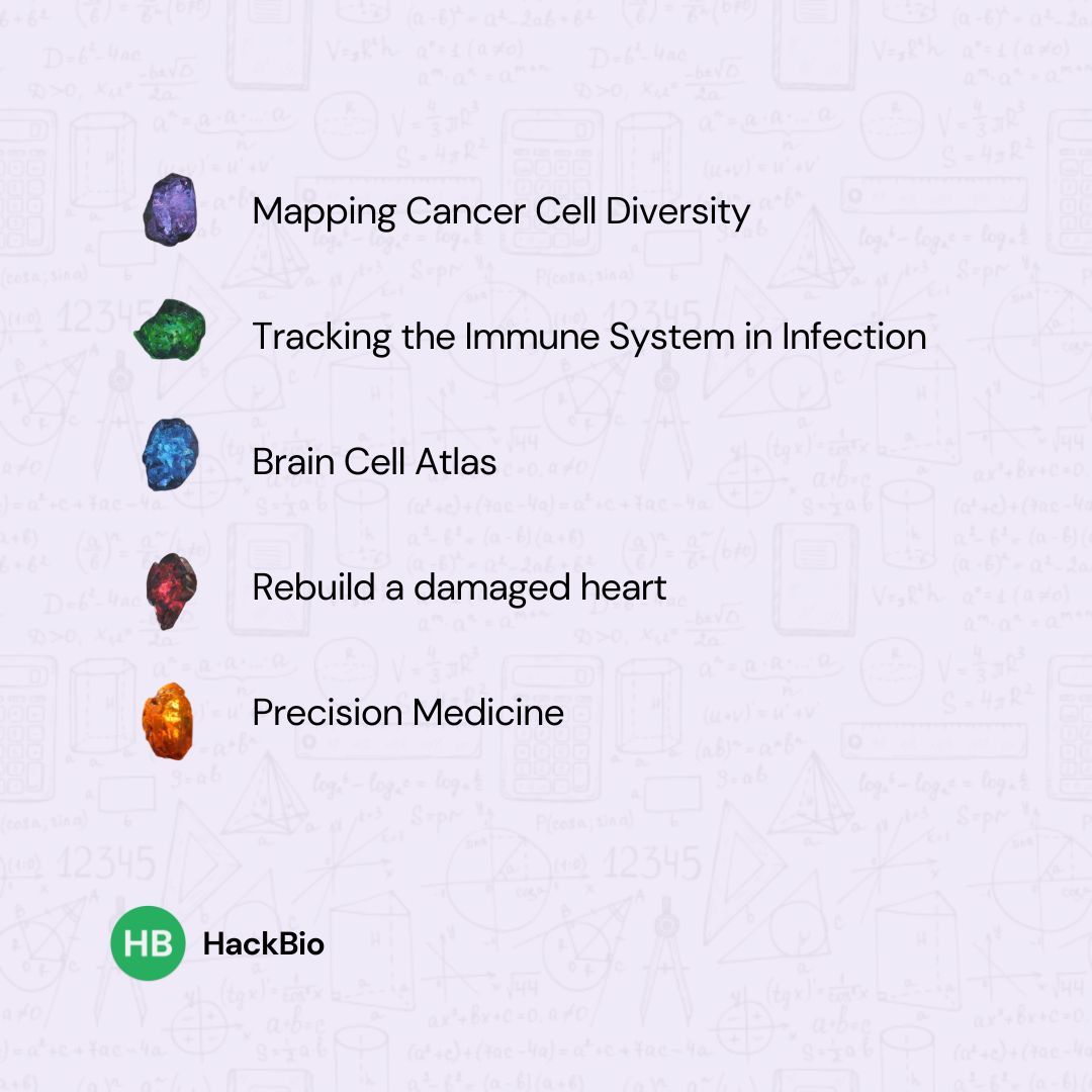 TheHackbio's tweet image. Here’s what our interns are diving into with the single-cell sequencing internship program
They&apos;ll be building real projects, making a real impact.
Every task is designed to help them grow, collaborate, and build confidence for what’s next.

#Hackbio  #Singlecellsequencing
