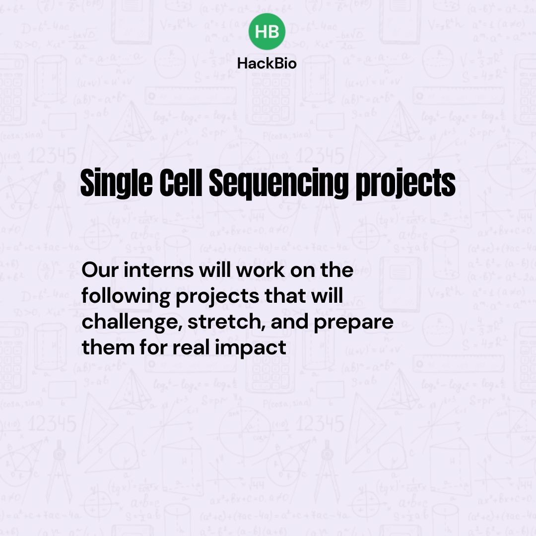 TheHackbio's tweet image. Here’s what our interns are diving into with the single-cell sequencing internship program
They&apos;ll be building real projects, making a real impact.
Every task is designed to help them grow, collaborate, and build confidence for what’s next.

#Hackbio  #Singlecellsequencing