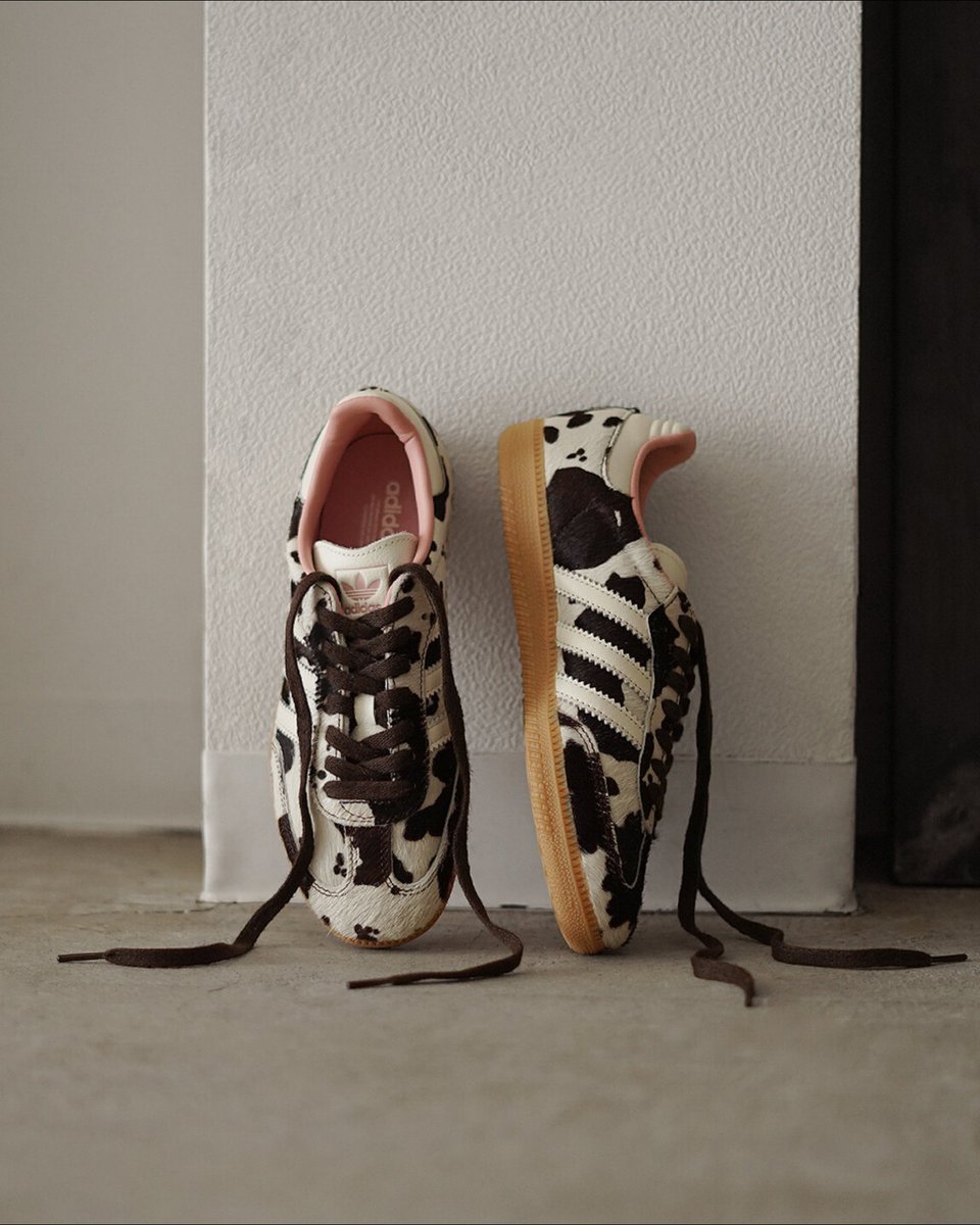 キナリノ公式 on X