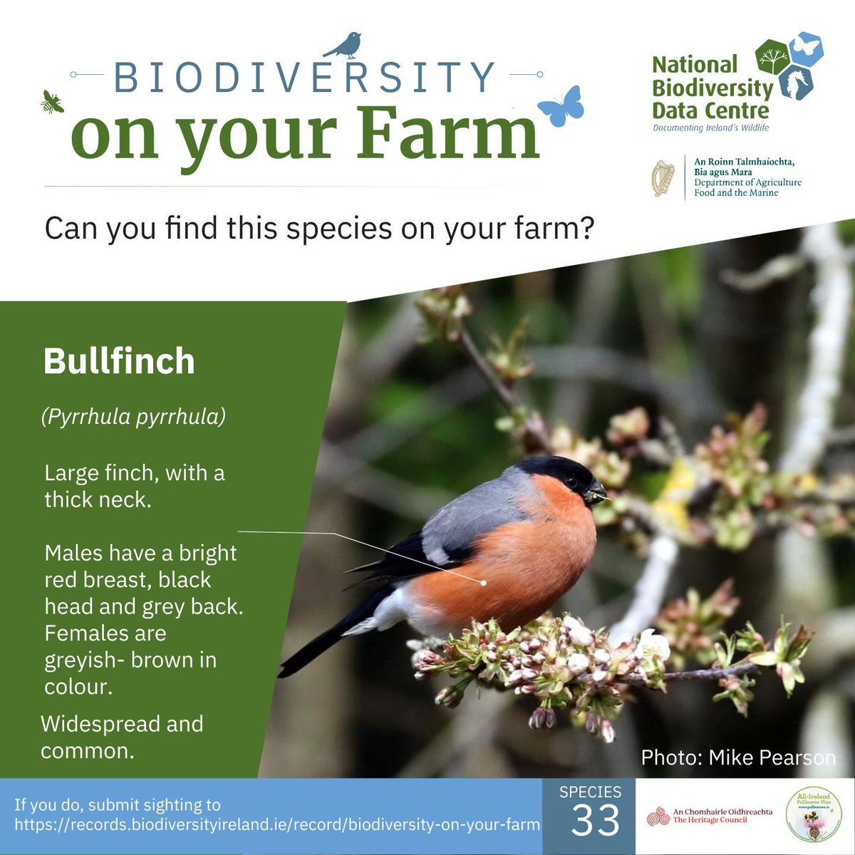 Biodiversity Ireland tweet media