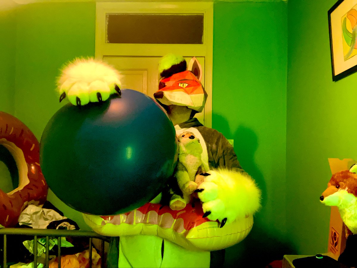 SerenityFluff's tweet image. Today, I mark as #Loonerfur day here on the last pic of #Foxtober and also #FoxFriday. Always awesome to do some loon content too! ^w^ #furry #balloon #plushies