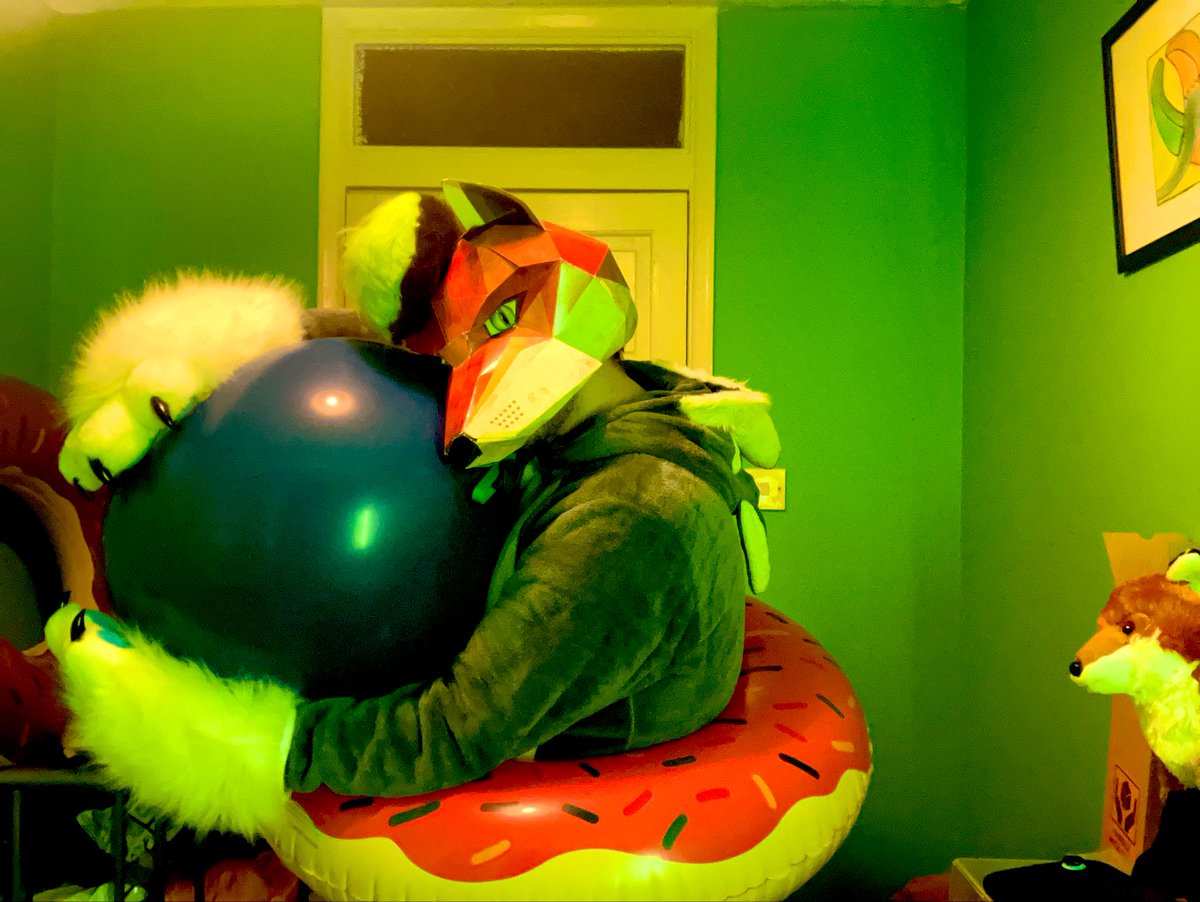SerenityFluff's tweet image. Today, I mark as #Loonerfur day here on the last pic of #Foxtober and also #FoxFriday. Always awesome to do some loon content too! ^w^ #furry #balloon #plushies